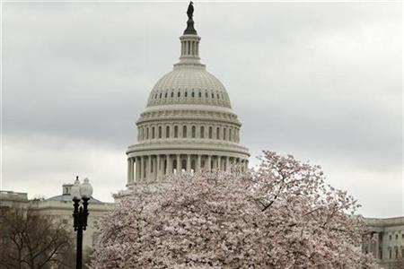 
U.S. Capitol Dome is pictured behind a cherry blossom tree in Washington, March 24, 2011. REUTERS/Hyungwon Kang
