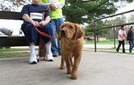 American Heart Walk 2011 1