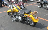 Q106 at Batte Creek Harley Davidson (5/21/11) 13