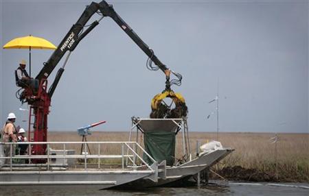 Workers remove oil soaked grass from marshland one year after the BP Oil Spill near Myrtle Grove, Louisiana Workers remove oil soaked grass from marshland one year after the BP Oil Spill near Myrtle Grove, Louisiana