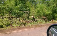 Strong Storms Tear Through Battle Creek 28
