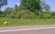 Strong Storms Tear Through Battle Creek 25