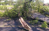 Strong Storms Tear Through Battle Creek 22