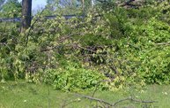 Strong Storms Tear Through Battle Creek 12