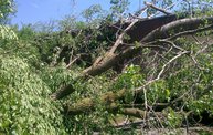 Strong Storms Tear Through Battle Creek 11