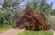 Strong Storms Tear Through Battle Creek 9