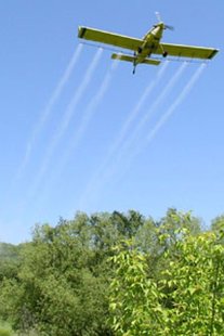 DNR gypsy moth spray plane DNR gypsy moth spray plane