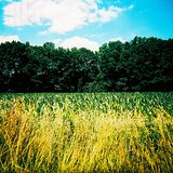 Some in the Michigan Agriculture community are concerned budget cuts will negatively impact agriculture in Michigan.