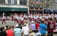 Tulip Time 2011 11