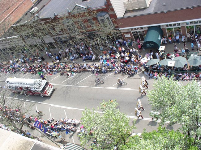 Tulip Time 2011