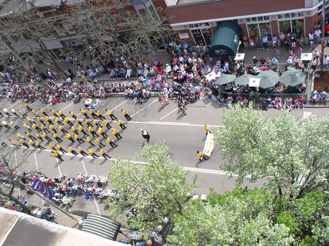 Tulip Time 2011