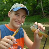 Panfish fishing