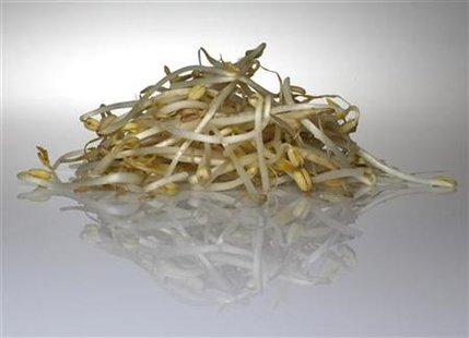 Beansprouts are seen in this picture illustration taken in Berlin Beansprouts are seen in this picture illustration taken in Berlin