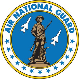 Air National Guard logo Air National Guard logo
