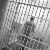 jail cell jail cell