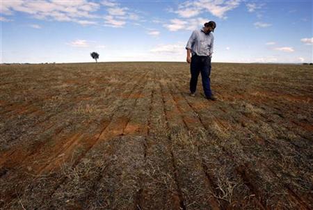 Farmer Fagan inspects the rows of seeds sown by his GPS-guided disc air seeder rig in a paddock on his property near Cowra Farmer Fagan inspects the rows of seeds sown by his GPS-guided disc air seeder rig in a paddock on his property near Cowra