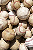 Softball Softball