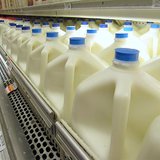 milk milk