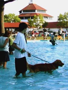 Splash Pad Splash Pad
