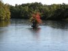 St Joe River