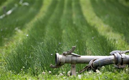 The plant watering system is seen shut down at a farm where E.coli bacteria was found in Nieder-Erlenbach on the outskirts of Frankfurt The plant watering system is seen shut down at a farm where E.coli bacteria was found in Nieder-Erlenbach on the outskirts of Frankfurt