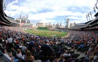 Detroit Tigers vs Arizona Diamondbacks - 06/25/11: Cover Image
