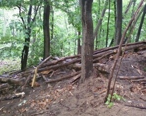 Site of former wigwam (photo by Brent Alan)