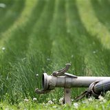 The plant watering system is seen shut down at a farm where E.coli bacteria was found in Nieder-Erlenbach on the outskirts of Frankfurt The plant watering system is seen shut down at a farm where E.coli bacteria was found in Nieder-Erlenbach on the outskirts of Frankfurt
