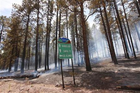 Charred forest smolders from the Las Conchas Fire near Los Alamos, New Mexico Charred forest smolders from the Las Conchas Fire near Los Alamos, New Mexico