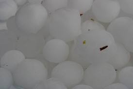Juneau County hit with hail Juneau County hit with hail