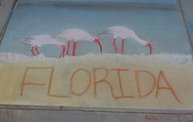 Chalkfest 2011 6