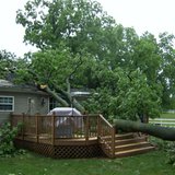 Coldwater Storm Damage