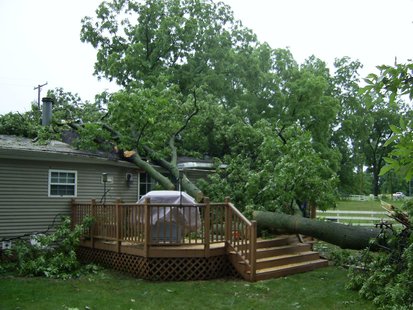 Coldwater Storm Damage Coldwater Storm Damage