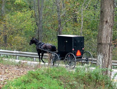 Amish Buggy
Amish Buggy
