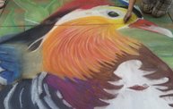 Chalkfest 2011 27