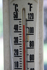 It's Hot! It's Hot!