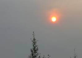 Wildfire smoke