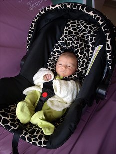 Car Seat Car Seat