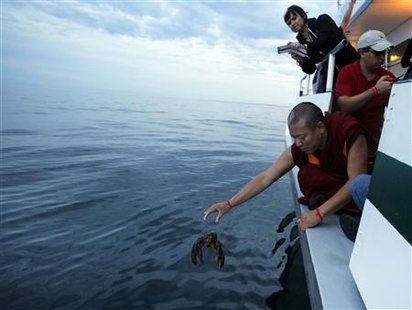 Buddhist monk Tenley releases a lobster back into the ocean during "Chokhor Duchen" from a boat in the waters off Gloucester Buddhist monk Tenley releases a lobster back into the ocean during "Chokhor Duchen" from a boat in the waters off Gloucester