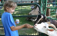 Brat Days 2011 20