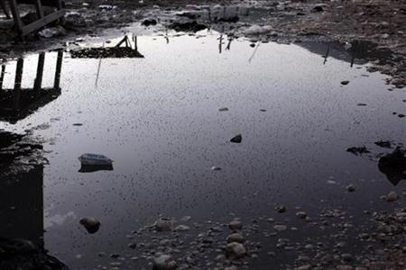 A puddle full of mosquitoes is seen in Jimani on the border between Dominican Republic and Haiti A puddle full of mosquitoes is seen in Jimani on the border between Dominican Republic and Haiti