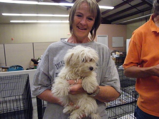 Missouri Dogs Arrive at Headin' Home Pet Rescue