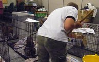Missouri Dogs Arrive at Headin' Home Pet Rescue: Cover Image