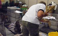 Missouri Dogs Arrive at Headin' Home Pet Rescue: Cover Image