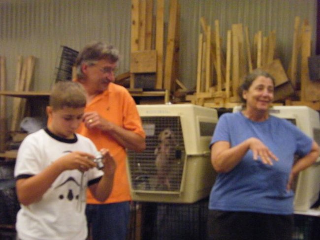 Missouri Dogs Arrive at Headin' Home Pet Rescue