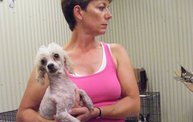 Missouri Dogs Arrive at Headin' Home Pet Rescue 3