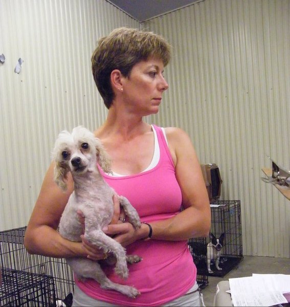 Missouri Dogs Arrive at Headin' Home Pet Rescue