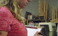 Missouri Dogs Arrive at Headin' Home Pet Rescue 1