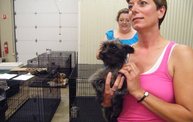 Missouri Dogs Arrive at Headin' Home Pet Rescue 16