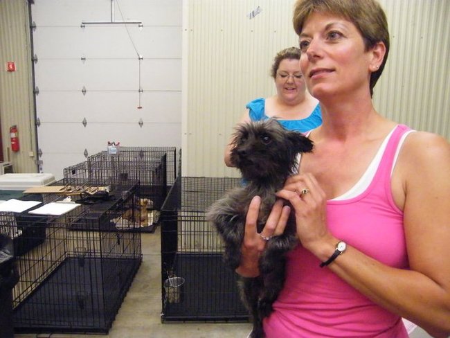 Missouri Dogs Arrive at Headin' Home Pet Rescue